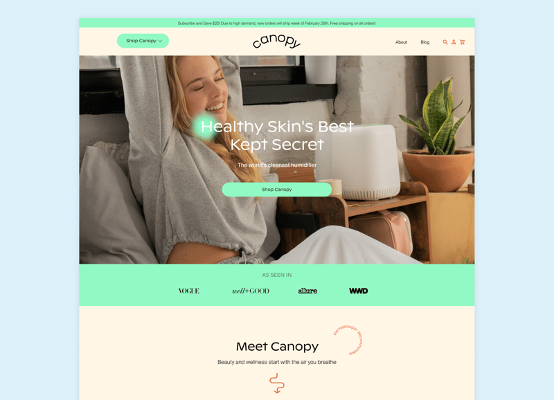 canopy - screenshot of homepage of website