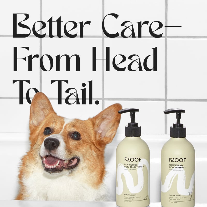 Image of dog in bathtub with FLOOF dog conditioner and dog shampoo and text above it that reads: 
