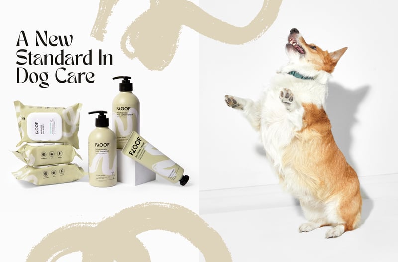 Image of dog on hind leg. Image of FLOOF products on display. Text readinf: A New Standard In Dog Care
