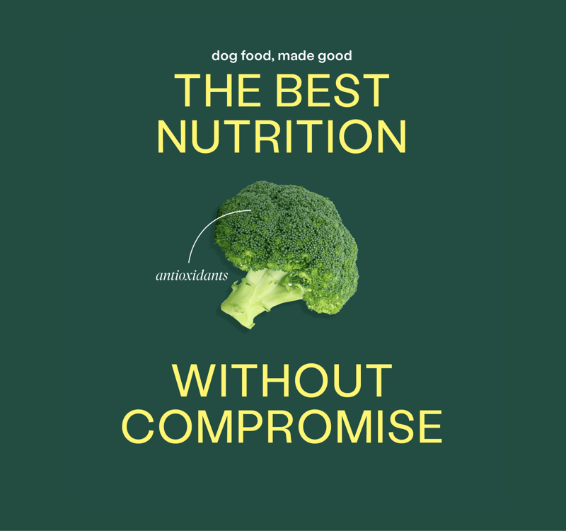 Wild Earth - Dog food made good. The best nutrition without compromise. 