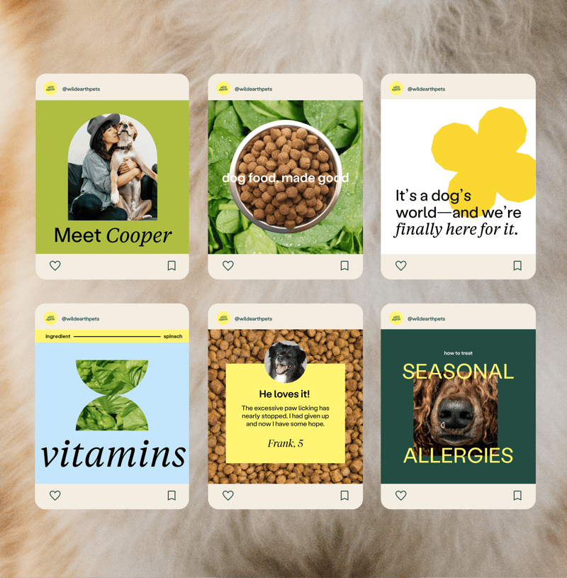Wild Earth - Mock Ups of Instagram Posts