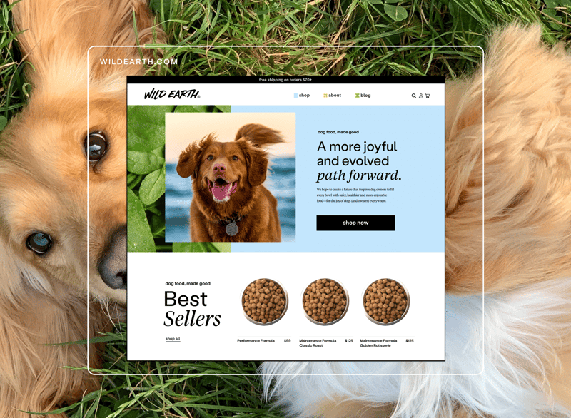 Wild Earth - Website homepage mock up