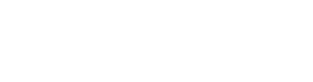 cleo + coco logo 