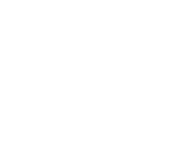 the social club logo