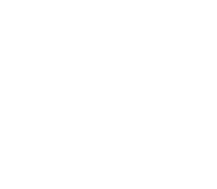 wild flower logo