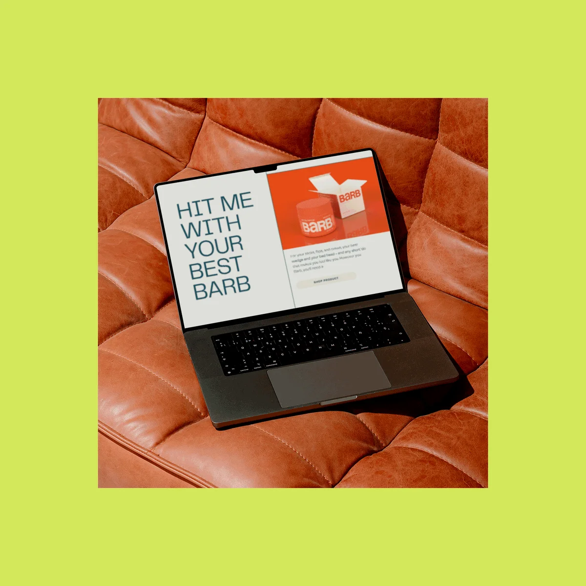 Barb website design