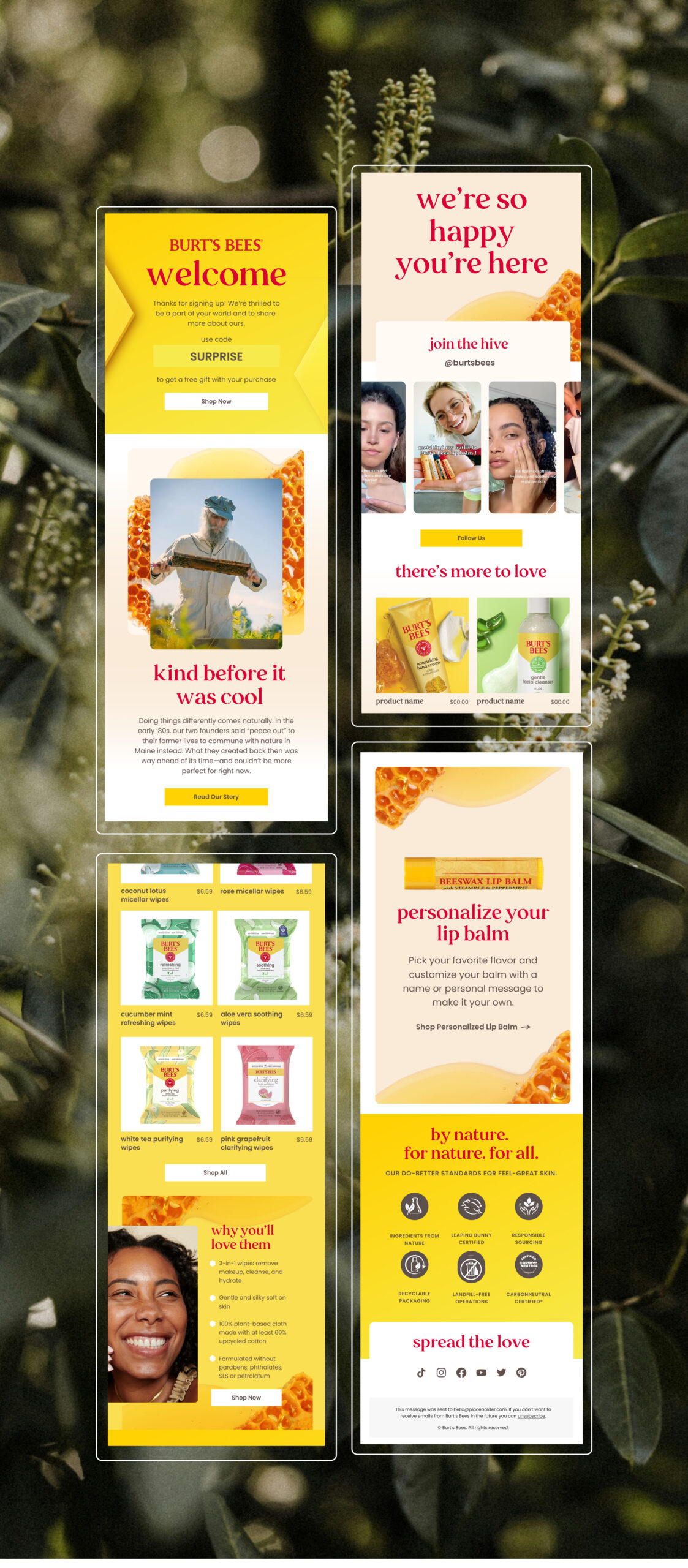 Burts Bees Brand Strategy
