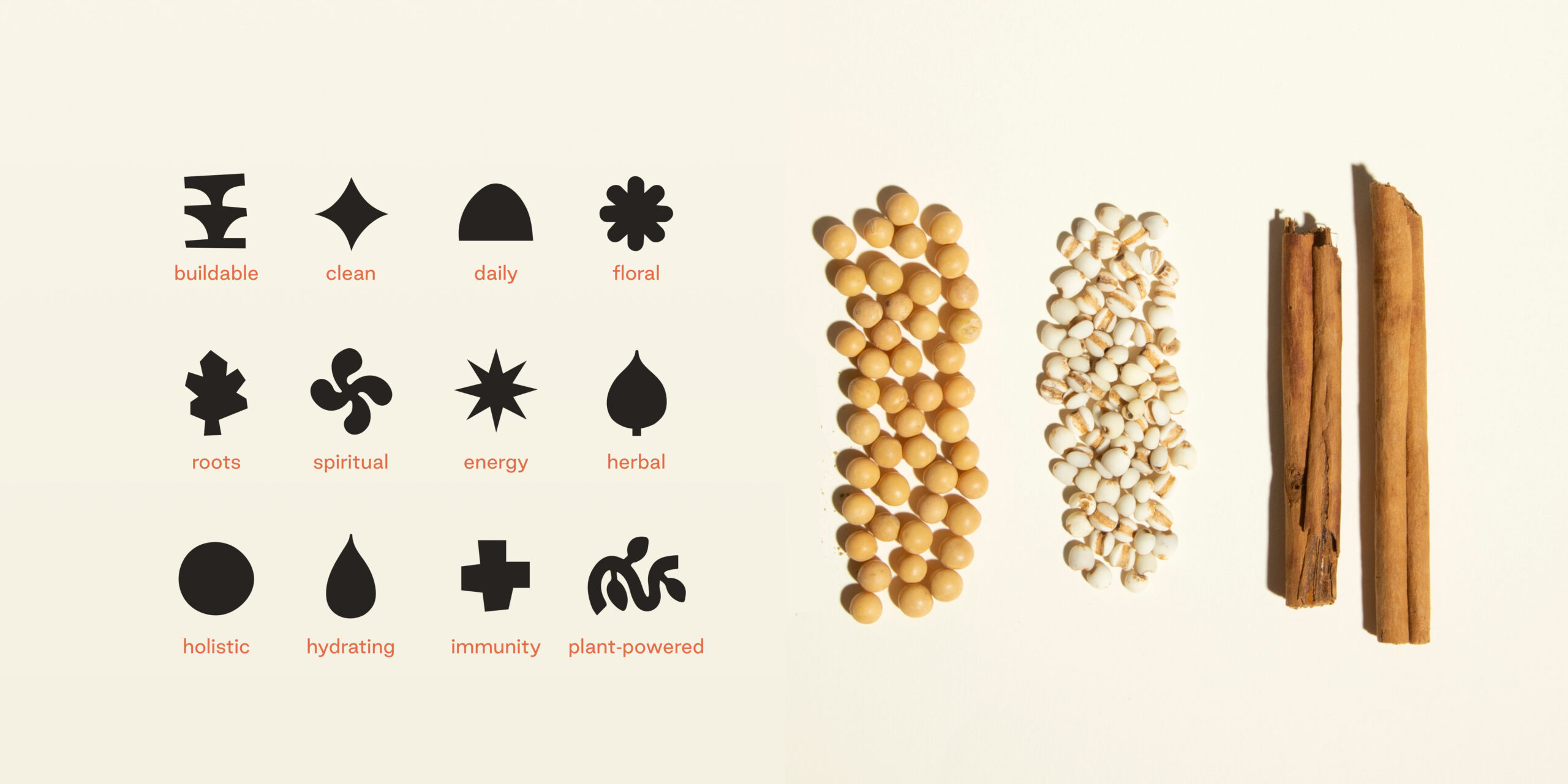 branding visual identity