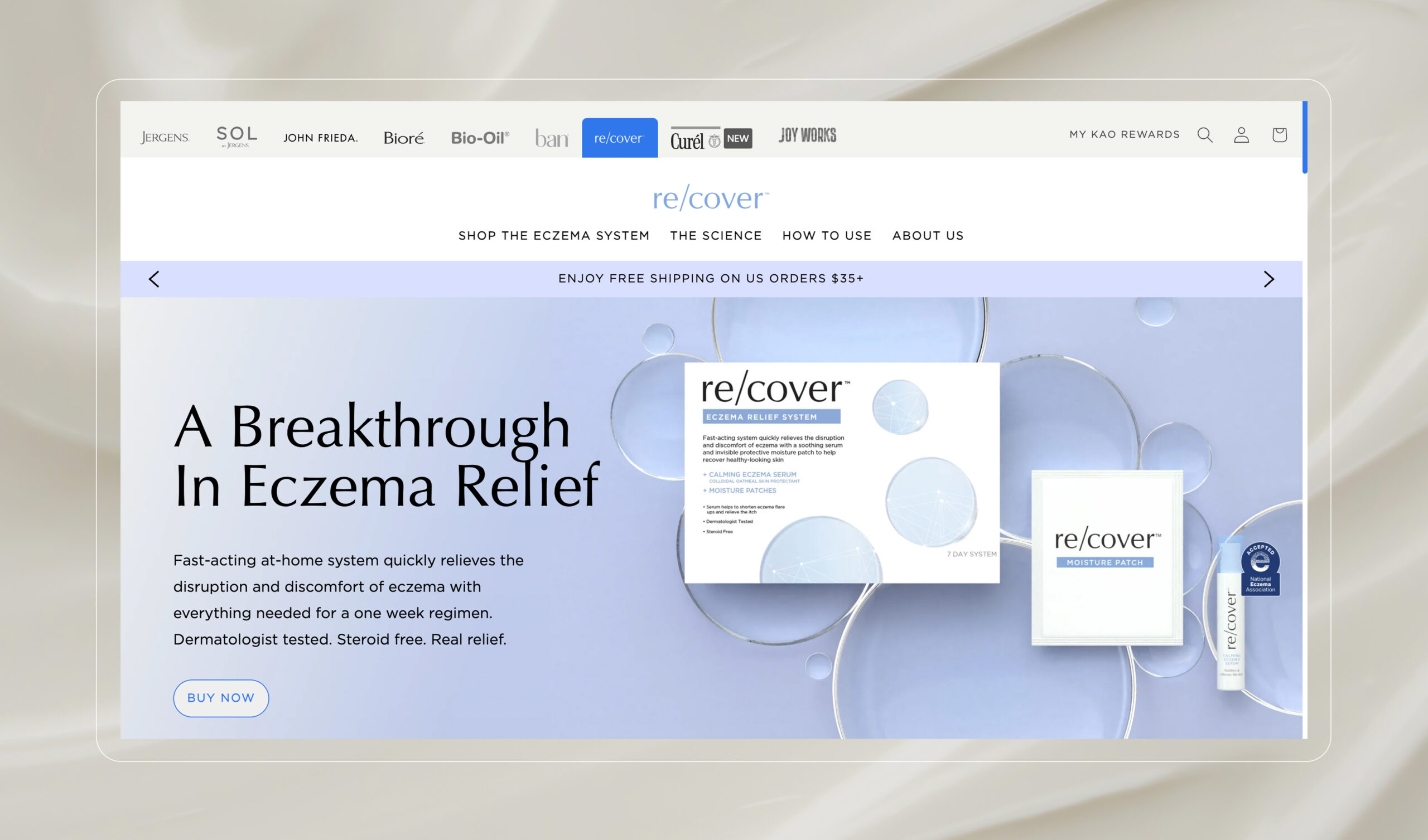 web design and development