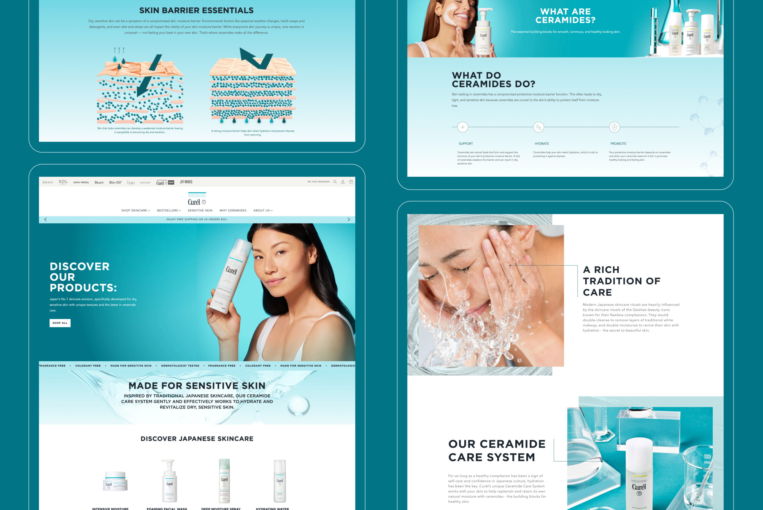 web design and development