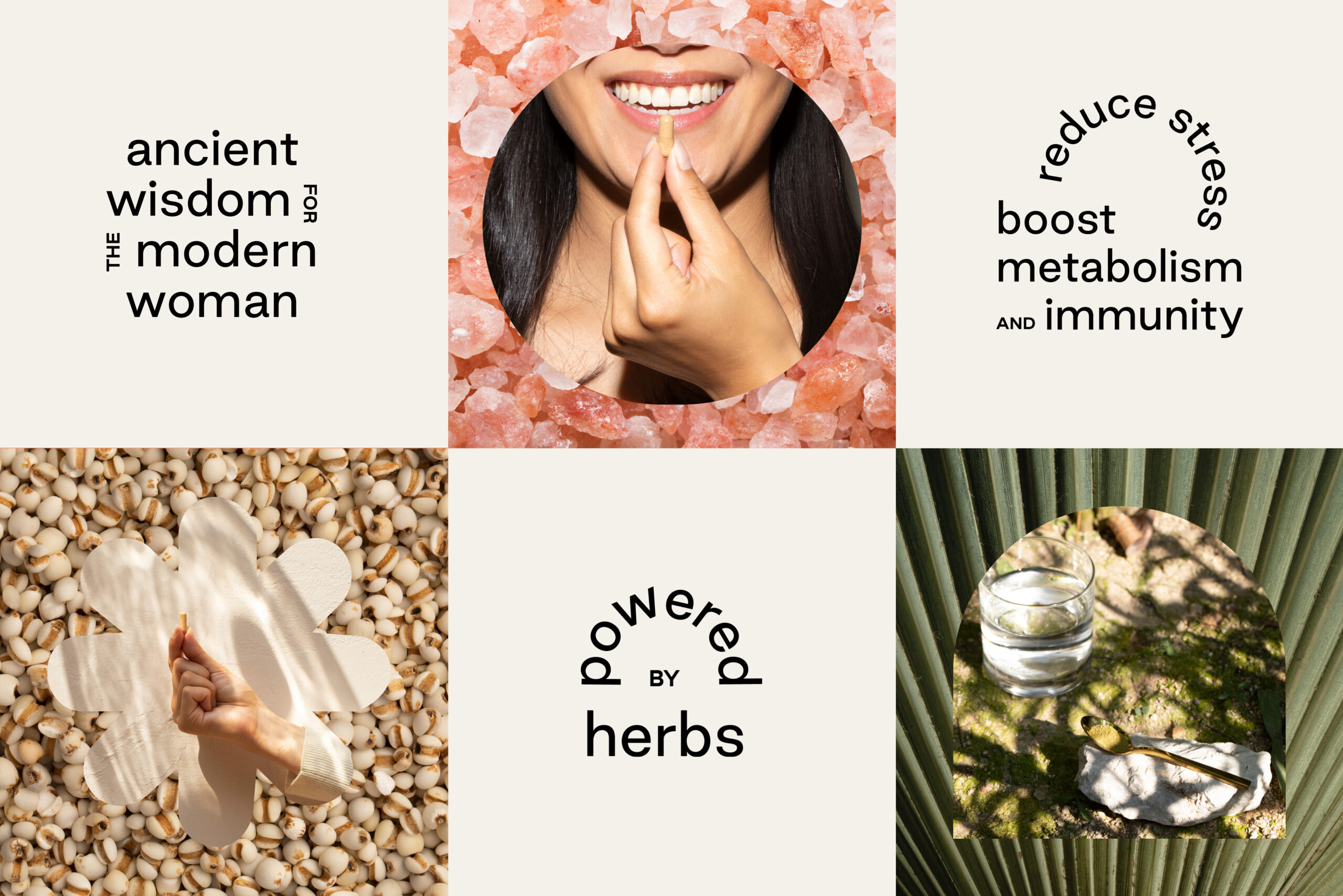 Nooci brand identity