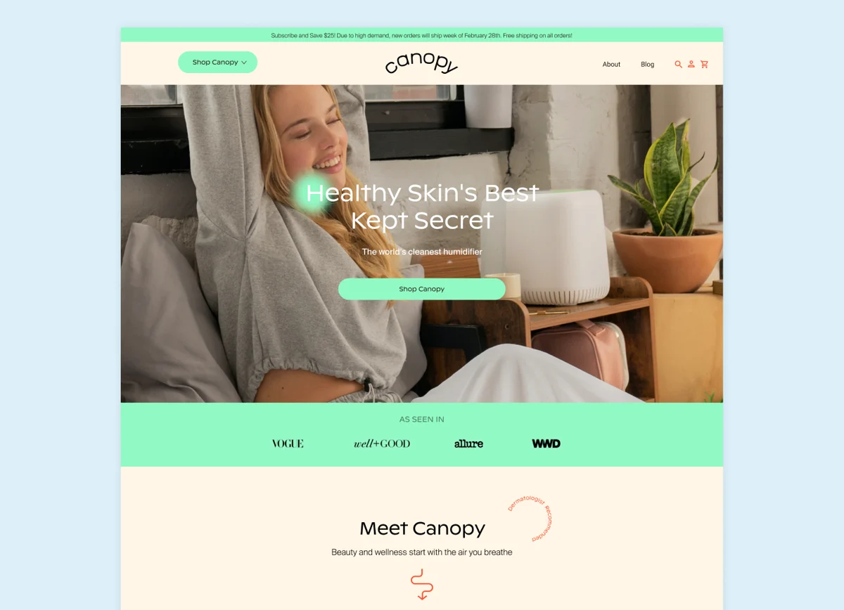 Canopy web design and development