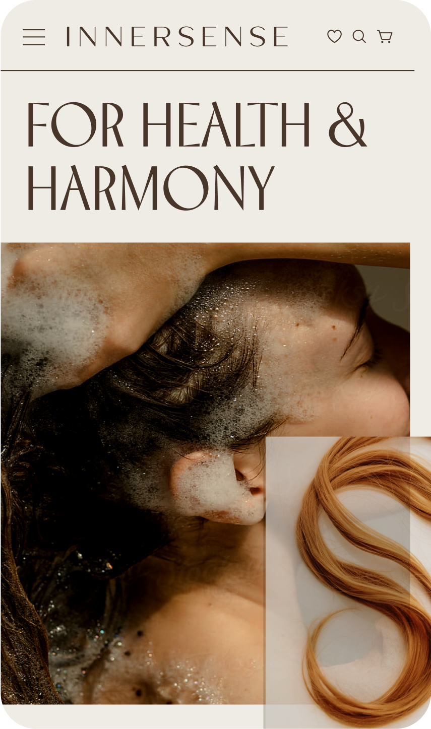 Web Project Image