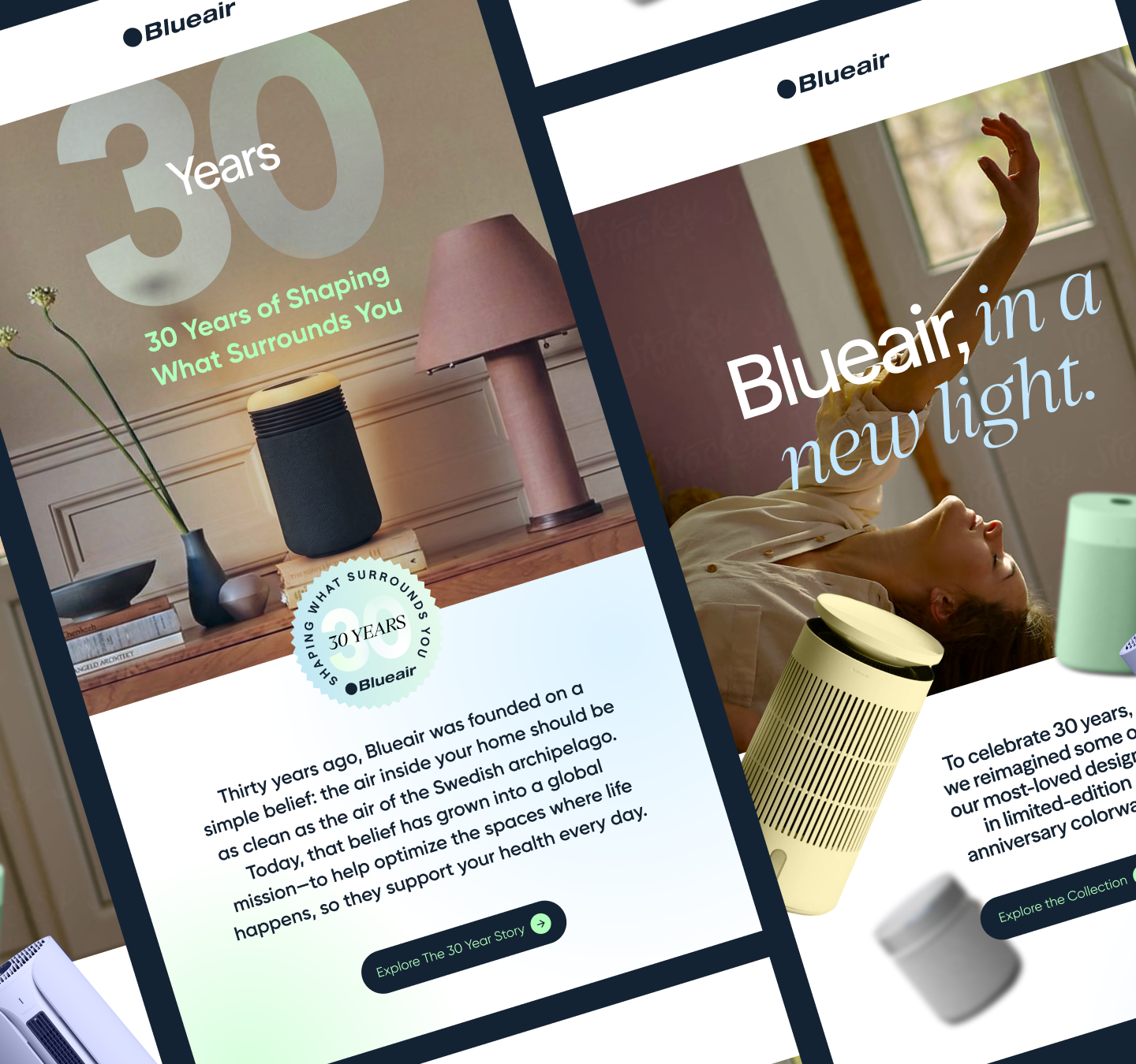 BlueAir case study module 6