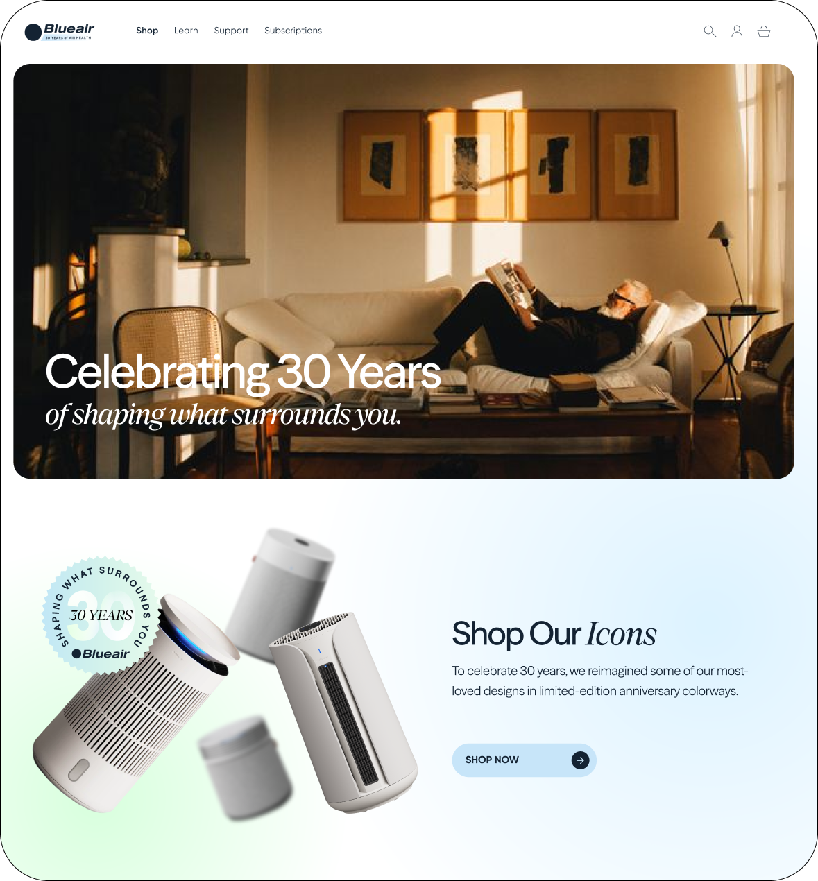 BlueAir case study module 4