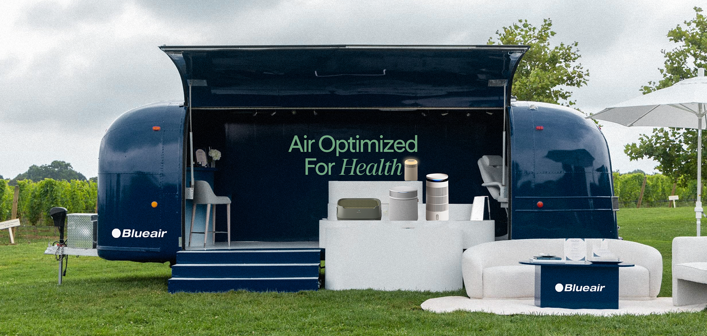 BlueAir case study module 8