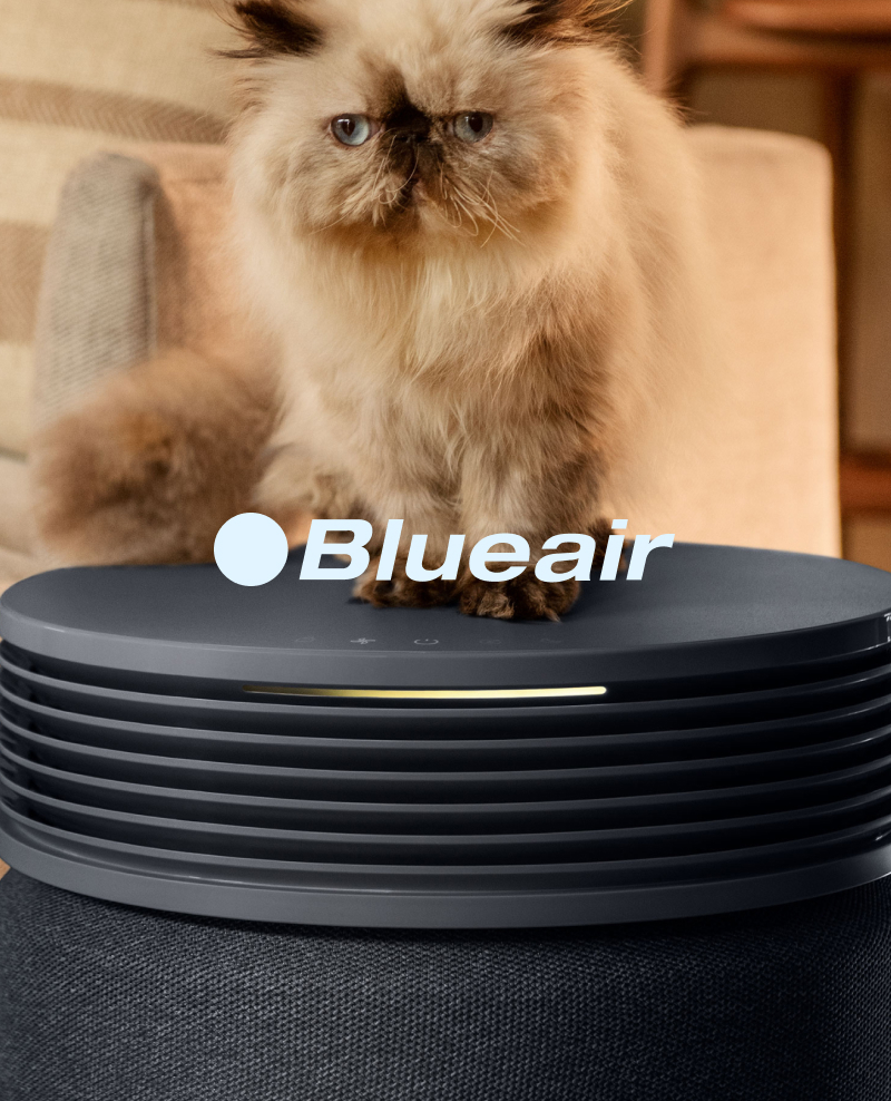 BlueAir
